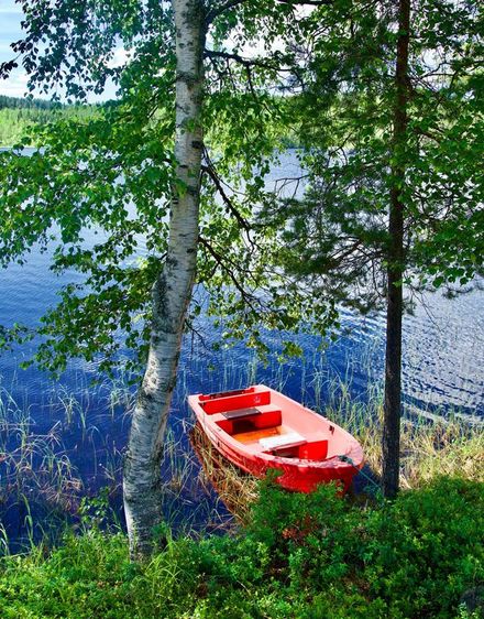 Ein rotes Boot liegt am Ufer des Sees, zwei Birken stehen dort auch