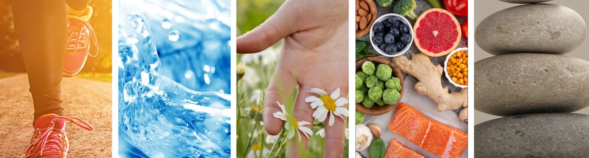 Darstellung der 5 Elemente: Bewegung als Jogging, Wasser, Heilpflanzen, eine Hand, die durch Kamillepflanzen streicht, Ernährung, Obenaufsicht auf Gemüse und Lachs, Lebensordnung, aufeinandergestapelte Steine