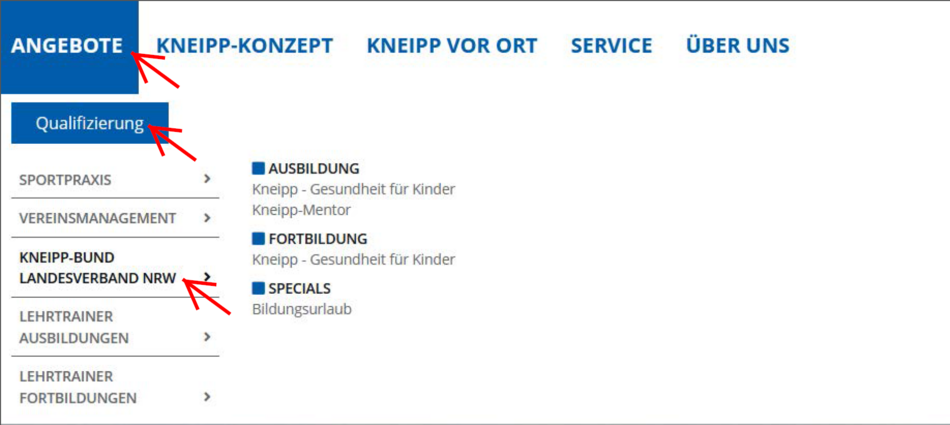 Link zum Bildungsprogramm