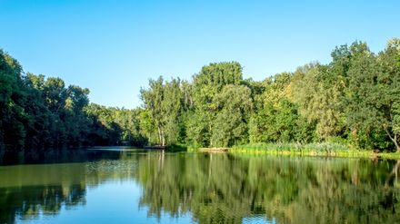 Ein baumbestandener See, vom Wasser her aufgenommen