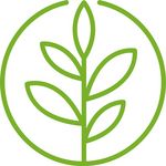 Piktogramm mit einem fünfgliedrigen Blatt in einem grünen Kreis.